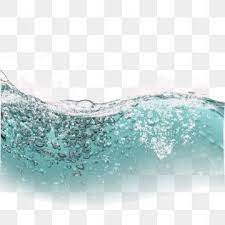Water Flower Water Drops Water Droplets Water Water Clipart Festival Water Png Transparent Clipart Image And Psd File For Free Download Water Ripples Flower Clipart Water Droplets