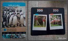 Pas de synopsis pour l'instant. Une Saison Au Zoo Premieres Lectures Cp Et Jeu 7 Familles Et Mistigri Bbb S Mum