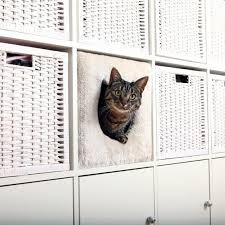 Les Paniers Pour Chat Les Plus Originaux D Internet Panier Chat Abri Pour Chat Meuble Pour Animal De Compagnie