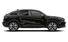 Image result for Noir Perla Nera 2011 Citroen
