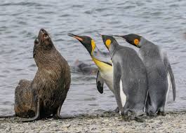 In this post we have added 20 funny cartoons and funny cartoon pictures from around the world just for laughs. Funny Animal Pictures 33 Photos That Will Make You Smile