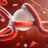 Ebola, also known as ebola virus disease (evd) or ebola hemorrhagic fever (ehf), is a viral hemorrhagic fever in humans and other primates, caused by ebolaviruses. 1