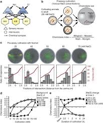 Your blood and bodily fluids have a decently high salt concentration. Concentration Memory Dependent Synaptic Plasticity Of A Taste Circuit Regulates Salt Concentration Chemotaxis In Caenorhabditis Elegans Nature Communications