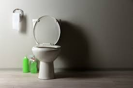 Dem war aber leider nicht so. Toilette Mit Spulmittel Reinigen Ist Das Ratsam