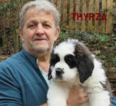 Elevage de Saint Bernard