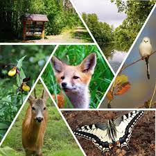 Ўзбекистон - 22-may &ndash; Xalqaro biologik xilma-xillik kuni 🌱🌍 Xalqaro huquq  normalariga ko'ra, biologik xilma-xillikni muhofaza qilish, muhofaza  etiladigan tabiiy hududlar tizimini rivojlantirish, ularni samarali  boshqarish, ekologik butligini saqlab ...