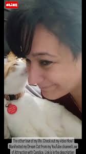 Real Shorts Videos Candice