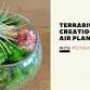 Terrarium Creations: Moss, Air Plants, & More with event image