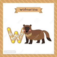 Image (c) jamie grill photography/getty images eric is a duly licensed independen. Letter W Lowercase Cute Children Colorful Zoo And Animals Abc Alphabet Tracing Flashcard Of Wolverine For Kids Learning English Vocabulary And Handwriting Vector Illustration Royalty Free Cliparts Vectors And Stock Illustration Image