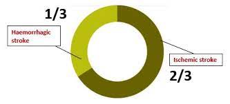 .malaysian population with history of stroke: Stroke Prevalence And Epidemiology My Stroke Hospital