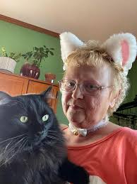 How to make cat ears headphone covers?