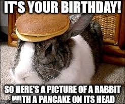 Happy Birthday Pancake Bunny Imgflip