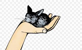 Whiskers Chinchilla Rabbit Clip Art Png 716x501px Whiskers Bat Carnivoran Cartoon Cat Download Free There are 163 cat stick figure for sale on etsy, and they cost £10.21 on average. favpng com