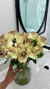 Katherine Bernabe 🐘