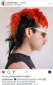 Hi guys does anyone offer cool cuts like this? My mullet has grown out and  I'd love to get it fixed back to its prime! I'll send pictures of my hair to