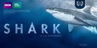 Maybe you would like to learn more about one of these? Vancouver Aquarium On Twitter Do You Dare Come See Shark A 4 D Experience As Part Of Your Vanaqua Admission Https T Co Pomwpsmelk