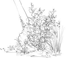 Traducir dibujar significado dibujar traducción de dibujar sinónimos de dibujar, antónimos información sobre dibujar en el diccionario y enciclopedia en línea gratuito. Como Dibujar Vegetacion Con Profundidad De Campo Art Rocket