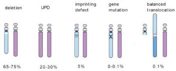 ideograms showing possible causes of chromosomal