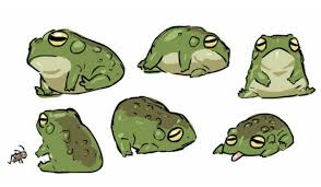 Lazy Frog Animal Art Frog Art Cute Art