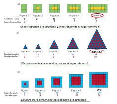 Paco el chato libro de matemáticas de tercer grado, Respuestas De Matematicas Cuarto Grado De Paco El Chato Durante El Receso Escolar Paco El Chato Te Ayuda Con Tu Tarea Me Llamo Paco El Chato Vengo Del Rancho 7