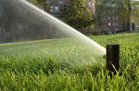 Check out the adjustment instructions in the rainbird 5000 manual (pdf). Rain Bird 5004 Plpc R 4 Inch Pop Up Plus Adjustable Rotors Big Frog Supply