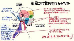 の血流が悪いと 肩から背中までガチガチに凝る 整体で学んだことが参考になる ほぐすと前屈もよく伸びる 顔もスッキリする togetter 整体 前屈 血流