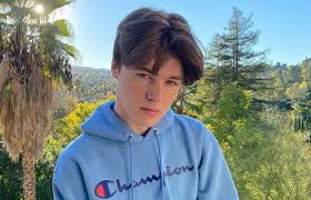 Nick Austin Tik Tok Net Worth Age Height Bio And Wiki In 2020 Nick Future Boyfriend Austin