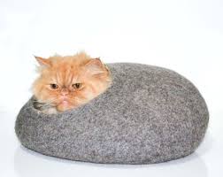 Top 10 pawesome cat products that i know your cat will love. Do You Think My Stepdad Would Like A Cat Bed For Father S Day