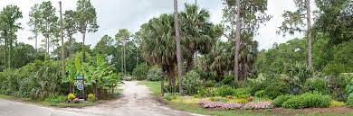 We did not find results for: The Nursery Just Fruits And Exotics