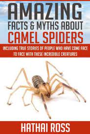 3ds max + c4d ma 3ds fbx obj. Camel Spiders Amazing Facts And Myths About Camel Spiders Kindle Edition By Ross Hathai Children Kindle Ebooks Amazon Com
