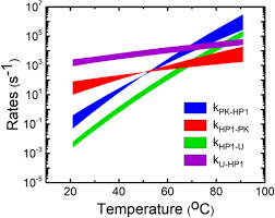 Check spelling or type a new query. Monovalent Ions Modulate The Flux Through Multiple Folding Pathways Of An Rna Pseudoknot Biorxiv
