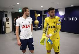 Some of them are transparent (.png). Tottenham Hotspur Confirm Golden Cockerel To Sit Atop New Stadium Cartilage Free Captain
