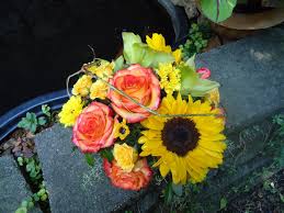 Hours may change under current circumstances Florist Friday Recap 10 27 11 2 Fall Favorites