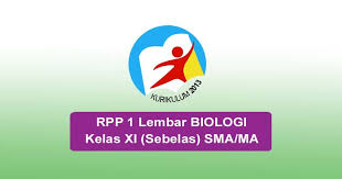 Rpp 1 lembar pkn sma/ma kelas 10 kurikulum 2013 se. Rpp 1 Lembar Biologi Kelas 11 Sma Ma Perangkat Pembelajaran