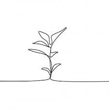 Plant Growing Continuous Line Art Drawing Vector Illustration Doodle Abstract Plant Png And Vector With Transparent Background For Free Download Line Art Drawings Abstract Line Art Handdrawn Illustration