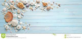 Banner Shells Blue Wood Background Download From Over 61 Million High Quality Stock Photos Images Vectors Sig Wood Banner Blue Wood Stock Photography Free