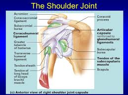 Just remember the articulating surfaces. Joints Joint Movements Ppt Video Online Download