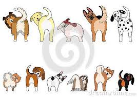 Set Of Funny Dogs Showing Their Butts Small Dogs And Large Dogs In Two Rows Dog Drawing Animal Doodles Dog Art