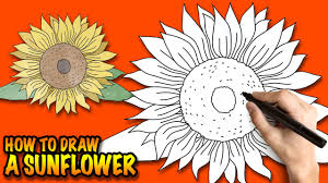 How To Draw A Sunflower Easy Step By Step Drawing Lessons For Kids Youtube 750 x 1000 jpeg 55 kb. how to draw a sunflower easy step by step drawing lessons for kids