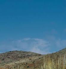 Image result for Napoleonaea gossweileri