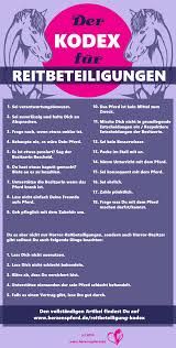 Reitbeteiligungskodex So Wirst Du Zur Perfekten Reitbeteiligung