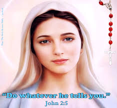 Mystical rose, Mother of church.. Pray for us.