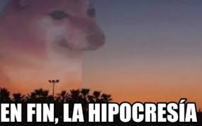 En Fin La Hipocresia El Meme Viral Tiene Historia Asi Se Origino La combinacion de perros mas graciosa que existe. en fin la hipocresia el meme viral