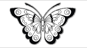 Gambar sketsa kupu kupu gajah ini kita kenal sebagai kupu kupu yang memiliki ukuran besar dengan corak sayap yang sangat indah. Gambar Kupu Kupu Hitam Putih