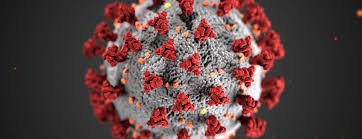 Réservez votre voyage en ultra dernière minute avec départ demain. Covid 19 Information U S Embassy In Barbados The Eastern Caribbean And The Oecs