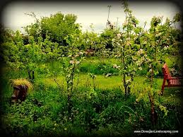 #gardening #gardenideas #landscapingideas #yardideas #landscaping #bhg. Side Garden Ideas A Fruit Tree Hedge Peter Donegan Garden Design Landscaping