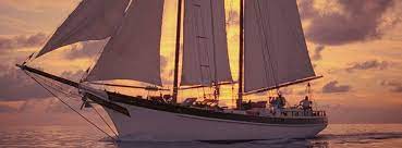 We did not find results for: Pieces Of Eight A Story Of Sex Love Trust Betrayal Home Facebook