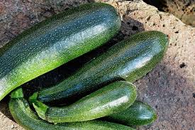 Can you plant zucchini and watermelon together. Watermelon Companion Plants Growing Guides