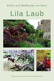 Pin Auf Garten Inspiration Und Ideen Zur Gartengestaltung