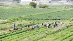 'Land grab' storm brewing